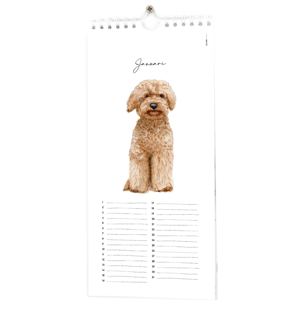 Kalender_huisdieren_januari.jpg