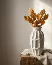 ALGARVE_isaa224_825020107.webp