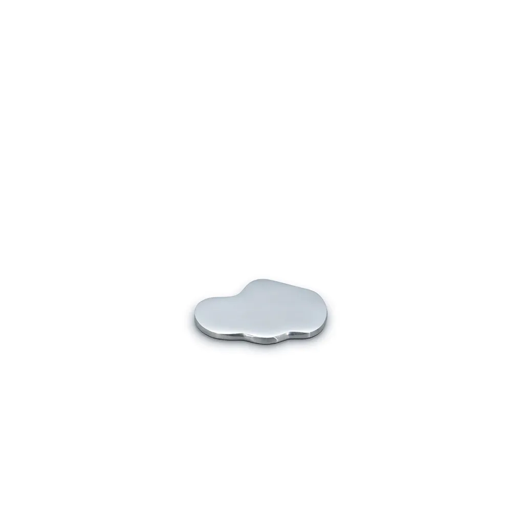 Charm_onderzetter-ZILVER-824751_01.webp