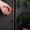 CabinetKnob_FlyAgaric_Lifestyle-3_WG4761.webp