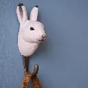 Hook_ArcticHare_lifestyle01_WG4798.webp