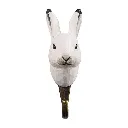 Hook_ArcticHare_front_WG4798.webp
