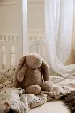 Bunny_sfeer_NCL1124.webp