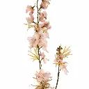 Delphinium_Ridderspoor_96cm_beige_40510052-bei_2_1.webp
