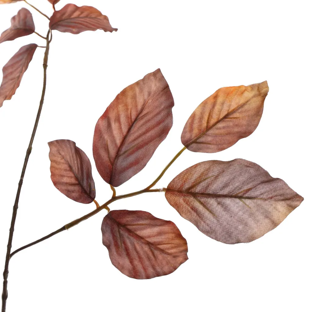 Berkenblad_77cm_bruin_12510133-br_2.webp