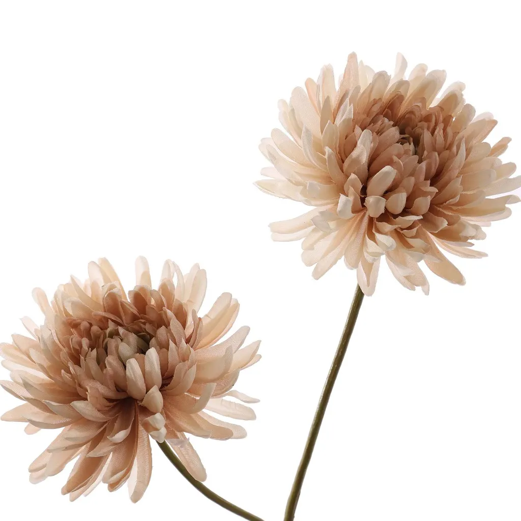 Chrysant_65cm_beige_40320029-bei_2.webp