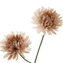 Chrysant_65cm_beige_40320029-bei_2.webp