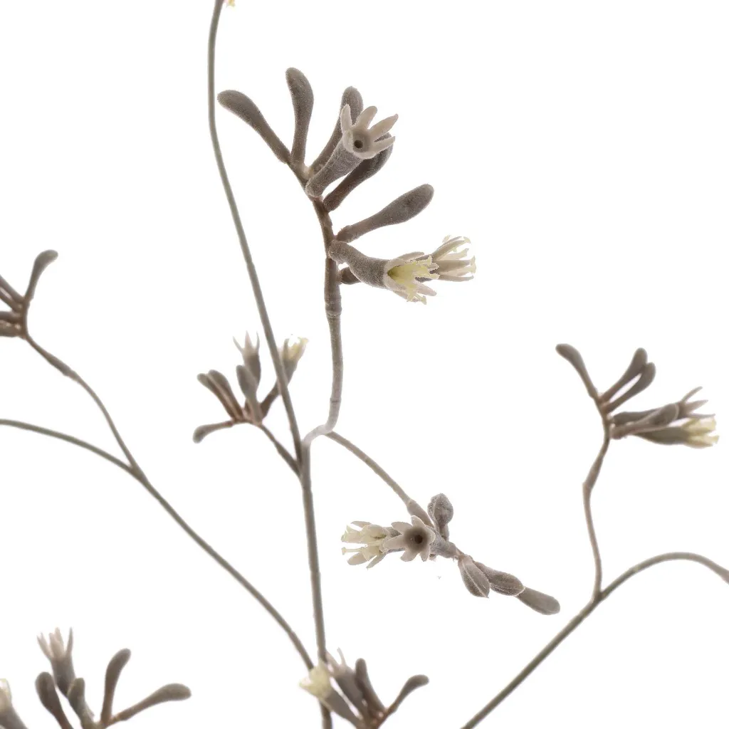 Kangaroetak_95cm_grijs_12250032-grey_2.webp