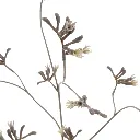 Kangaroetak_95cm_grijs_12250032-grey_2.webp