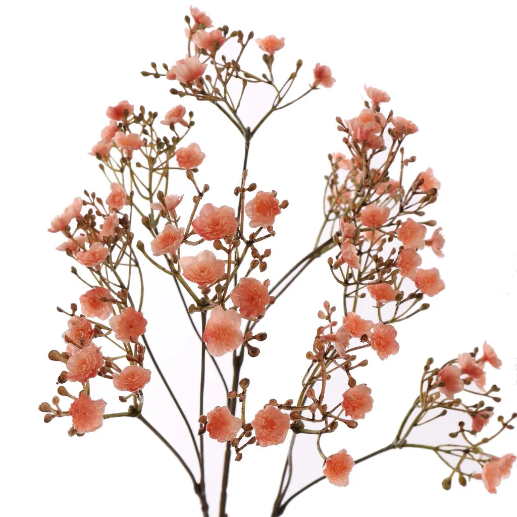 Gipskruid_70cm_roze_40240035-pi_2.webp