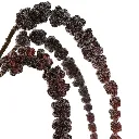 Amaranthus_101cm_burgundy_12310090-bu_2_1.webp