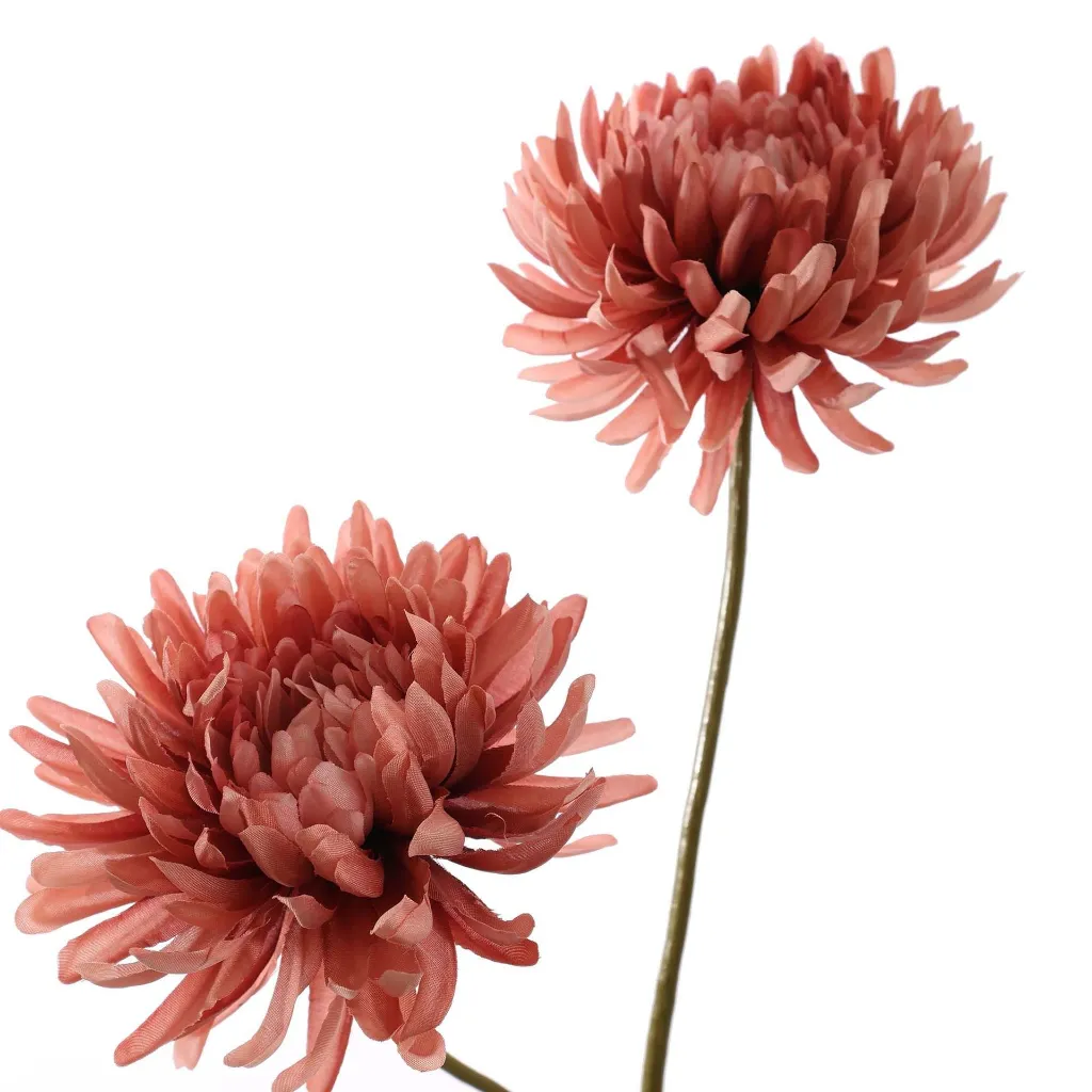 Chrysant_65cm_Roze_40320029-pi_2.webp