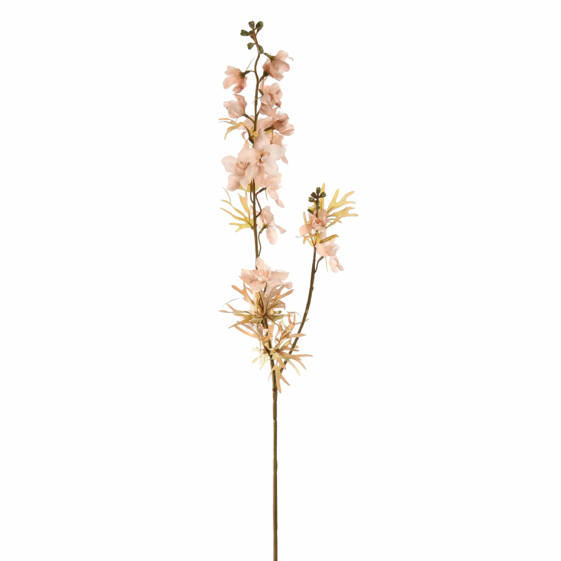 [JAS-40510052-BEI] Ridderspoor Beige