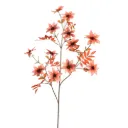 Dahlia Bruin L