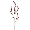 Bessentak Burgundy
