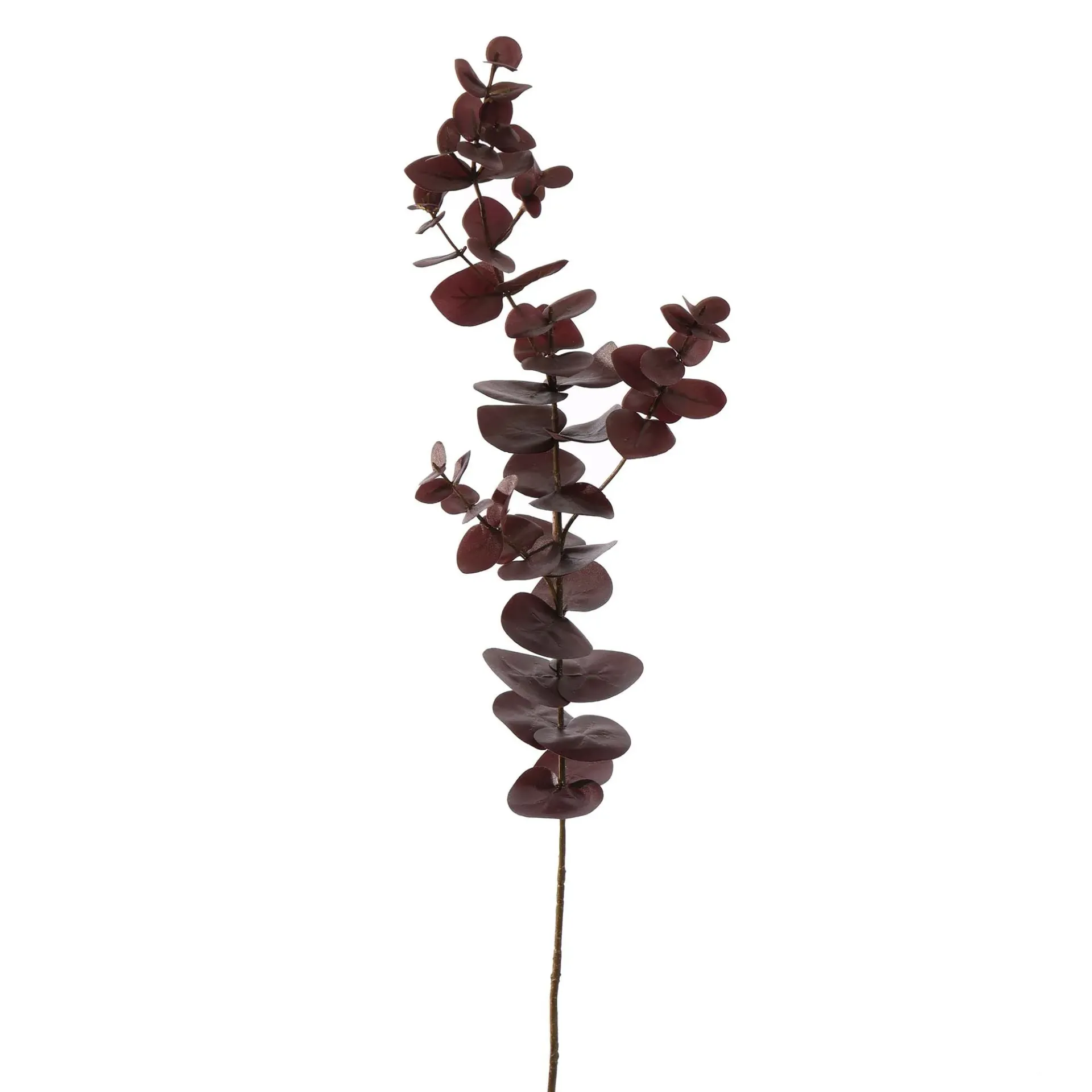 [JAS-12510123-BU] Eucalyptus Burgundy