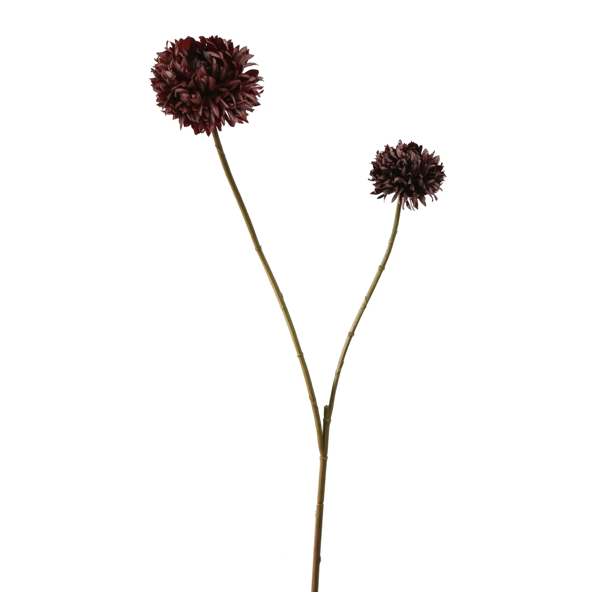 [JAS-40320026-BU] Balchrysant Burgundy