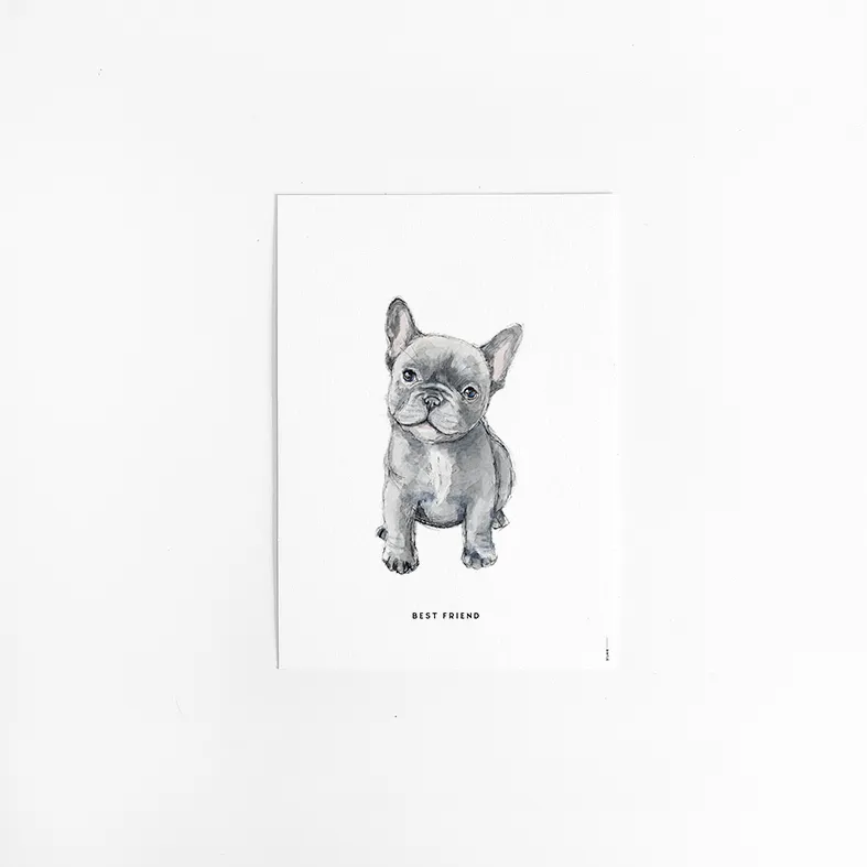 [M&B-FrenchBulldog] Kaart Franse Bulldog