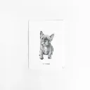 Kaart Franse Bulldog