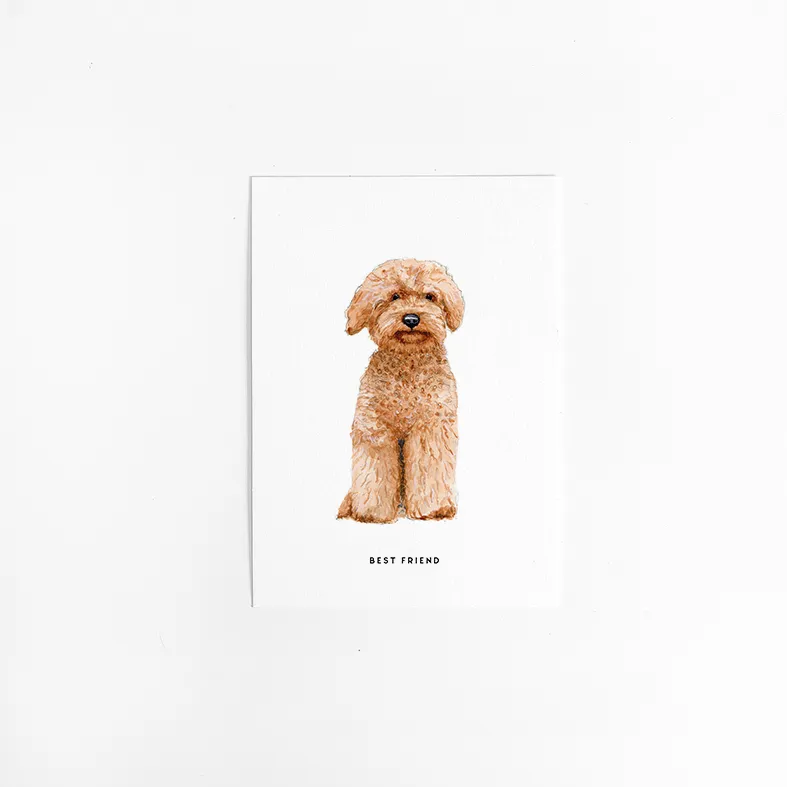[M&B-Labradoodle] Kaart Labradoodle