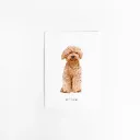 Kaart Labradoodle