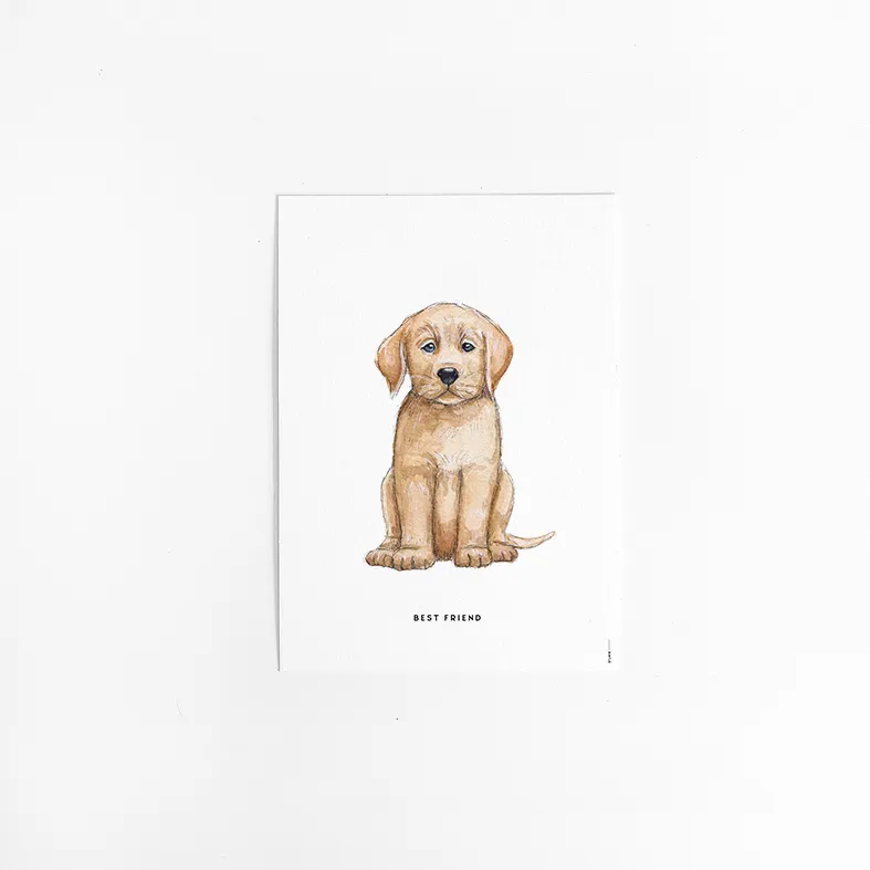 [M&B-Labrador] Kaart Labrador