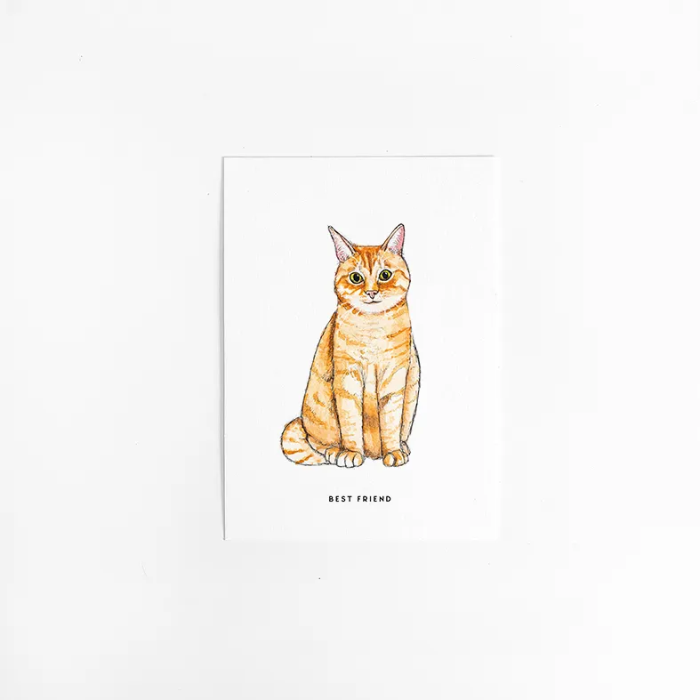 [M&B-Poes] Kaart Poes