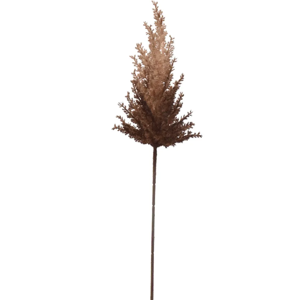 Pampas Bruin