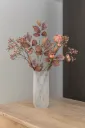 The Cosy Peony