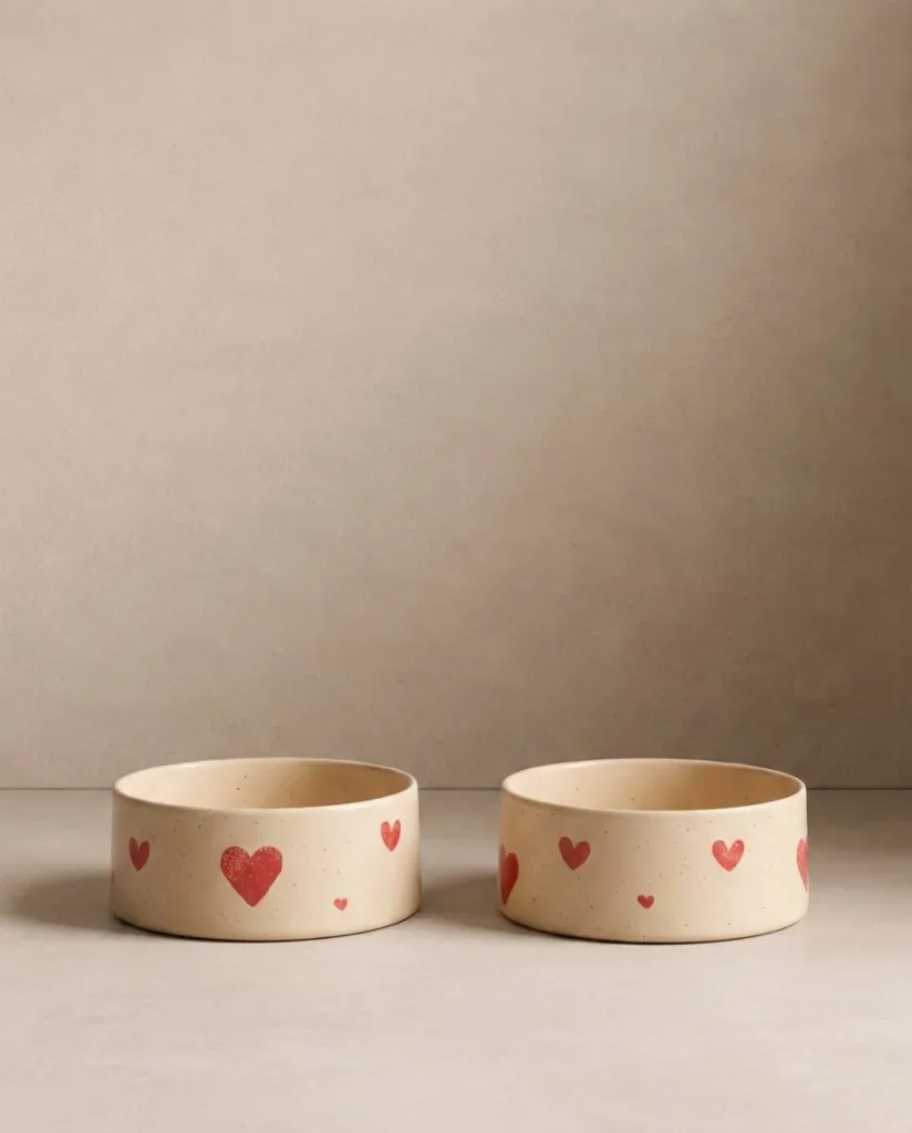 [EBH-2067-14DSET2-MT-CZ] Cozy Hearts Pet Eetkom Set van 2