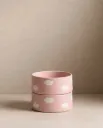 Pink Cloud Pet Eetkom Set van 2